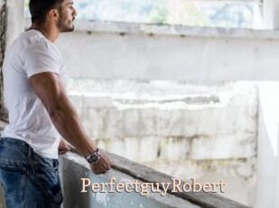 PerfectguyRobert