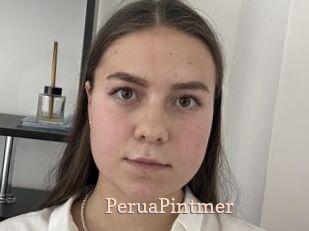 PeruaPintmer Chaude Vision