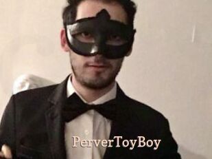 PerverToyBoy