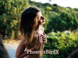 PhoenixBirdX