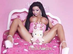 PinkAndre Chaude Vision