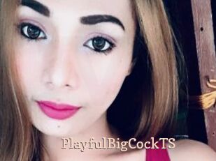 PlayfulBigCockTS