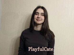 PlayfulCate
