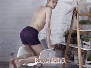 PlayfulMrR