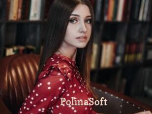 PolinaSoft
