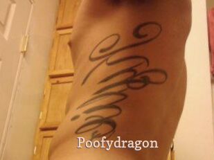 Poofydragon