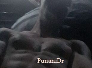 PunaniDr