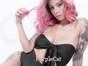 PurpleCat