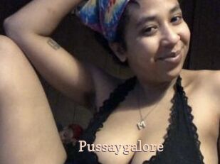 Pussaygalore