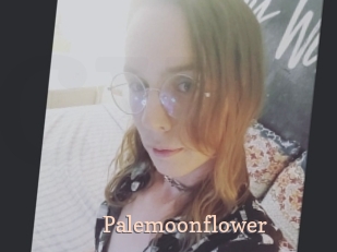 Palemoonflower
