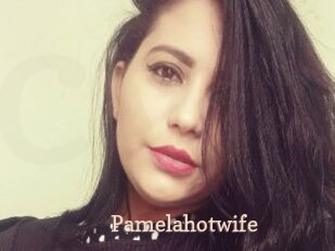 pamelahotwife Chaude Vision