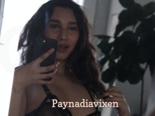 Paynadiavixen