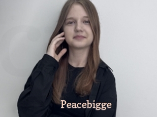 Peacebigge