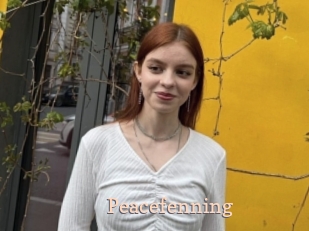 Peacefenning