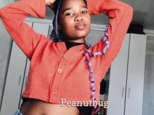 Peanutbug
