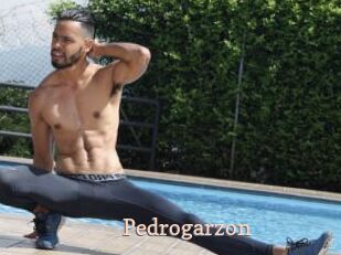 Pedrogarzon