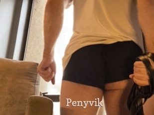 penyvik Chaude Vision