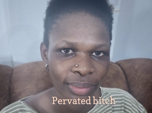 Pervated_bitch