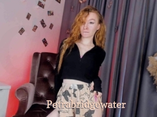 Petrabridgewater