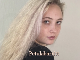 Petulabarritt