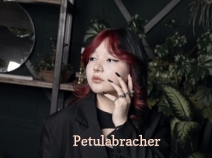 Petulabracher