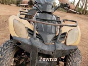 Pewnis