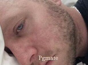 Pgmate