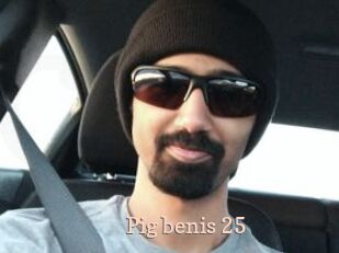 Pig_benis_25