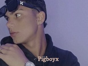 Pigboyx