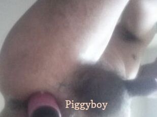 Piggyboy