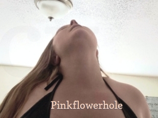 Pinkflowerhole