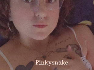 Pinkysnake