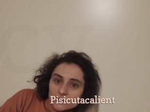 Pisicutacalient