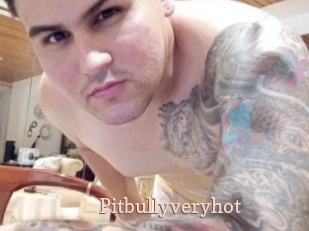 pitbullyveryhot Chaude Vision