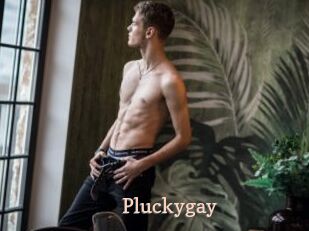 Pluckygay