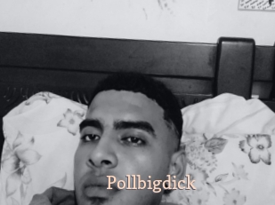 Pollbigdick