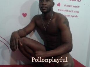 Pollonplayful