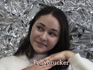 Pollybrucker