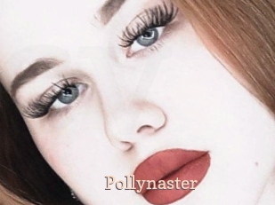Pollynaster