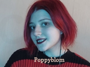 Poppyblom