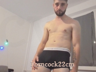 Porncock22cm