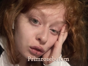 Primroseborom