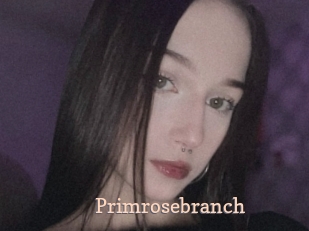 Primrosebranch