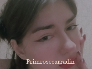 Primrosecarradin