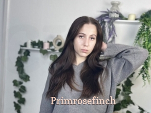 Primrosefinch