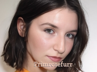 Primrosefurr