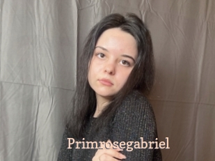 Primrosegabriel