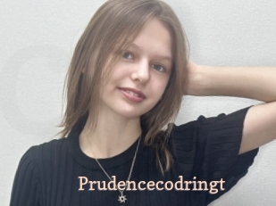 Prudencecodringt