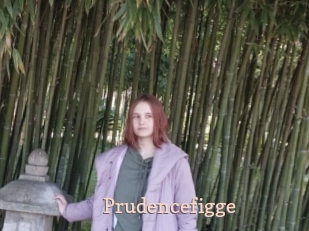 Prudencefigge