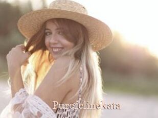 Purefelinekata
